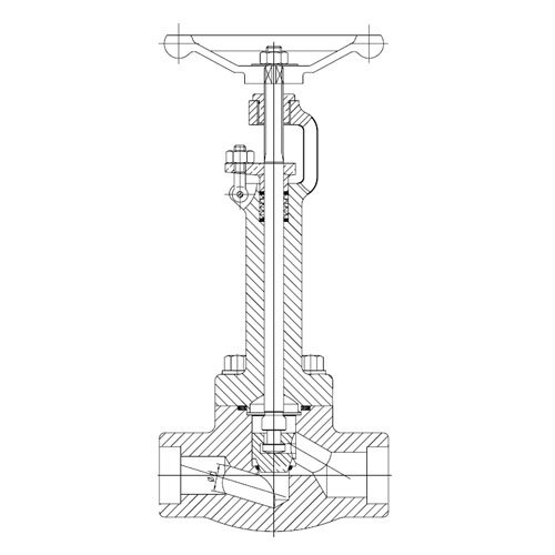 Forged Steel Cryogenic Globe Valve