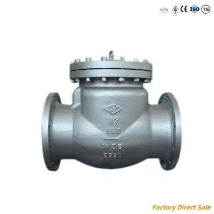 High Pressure Check Valve for Petrochemical Plants: Sizes 6inch PN150, PN300, PN600