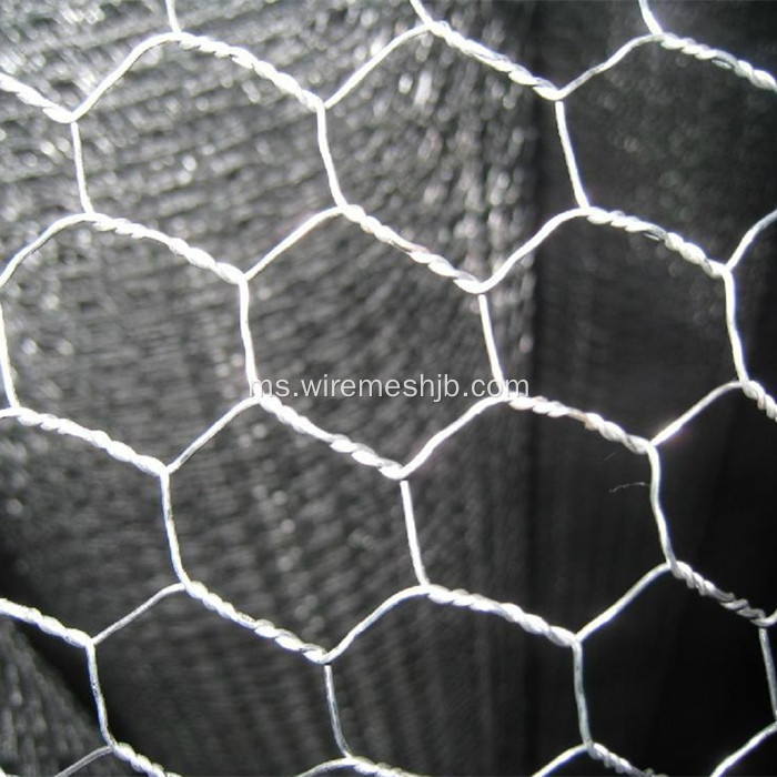 25mmx1mx45m Hexagonal Wire Mesh For Coop