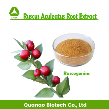Polvo de ruscogeninas de extracto de raíz de Ruscus Aculeatus