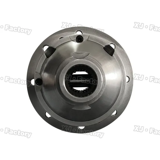 Hot Sale XIN JIN Manufacture RD213 RD212 RD117 Differential Gear for Isuzu