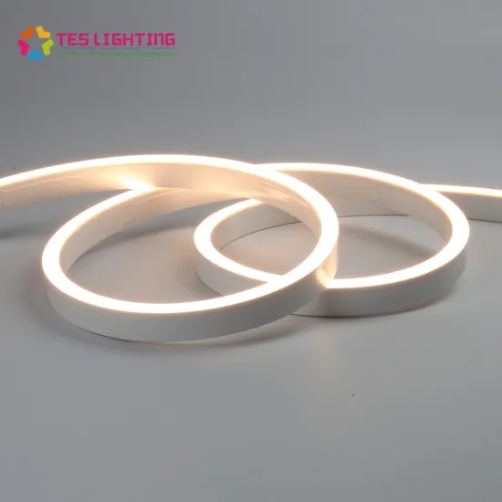 Best Outdoor Waterproof 5050 24V LED Flex Neon