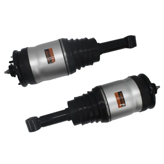 Auto Parts Air Suspension Adjustable Absorber for Land Rover Discovery III/IV