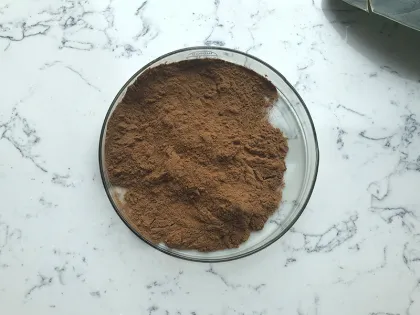 Best Price Black Fungus Mushroom Extract Powder