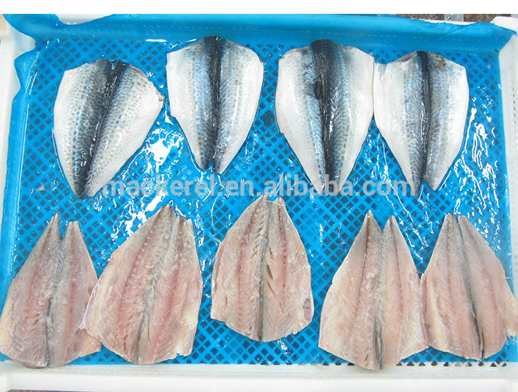 China Export Frozen Fish Frozen Mackerel Flaps Butterfly Mackerel