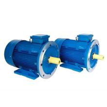 XTPML100S-4Motor magnético permanente de alto desempenho