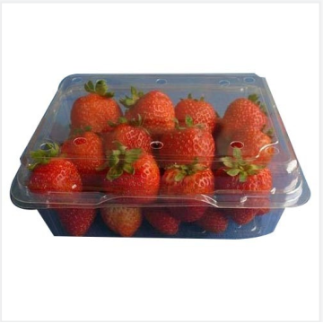 Transperant PVC food punnet