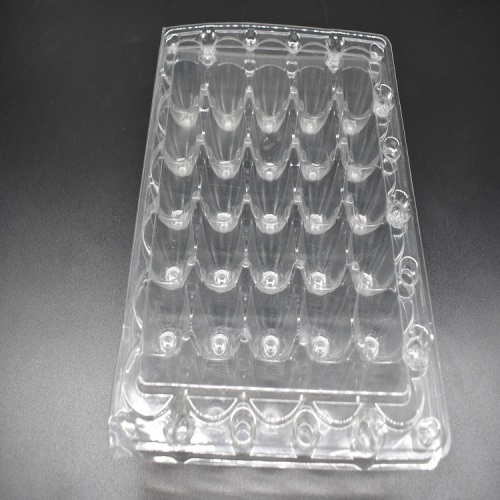 Disposable Plastic Quail Egg Tray with 30 Holes