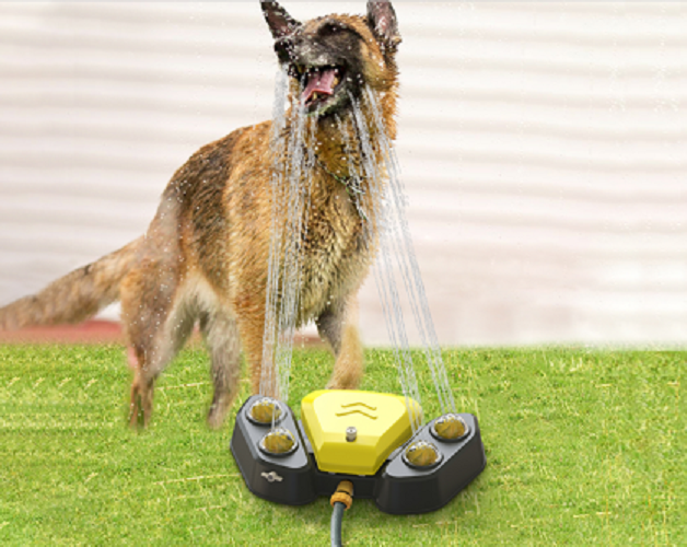 Automatic Water Dispenser For Dog Details 3