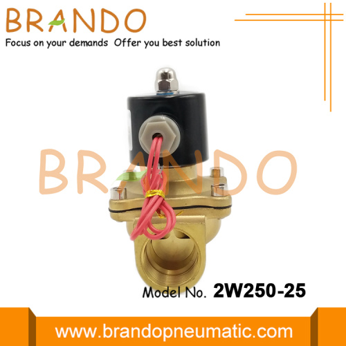 2W250-25 Pneumatic Solenoid Valve AC110V AC220V DC24V