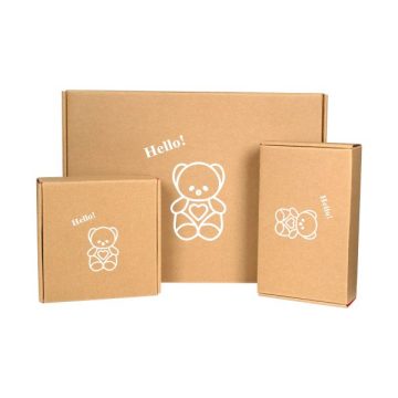 Custom Logo Print Ecommerce Corrugated Paper Boxes