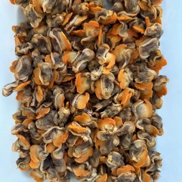 Gefrorene Meeresfrüchte Muschelfleisch und Blut Muscheln