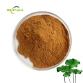 Natural Herb Extract Lotus Leaf Extract 98% Nuciferine