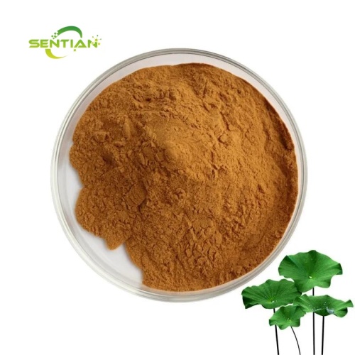 Natural Herb Extract Lotus Leaf Extract 98% Nuciferine