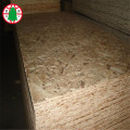 1220x2440MM c 3 board (Oriented Strand Board)