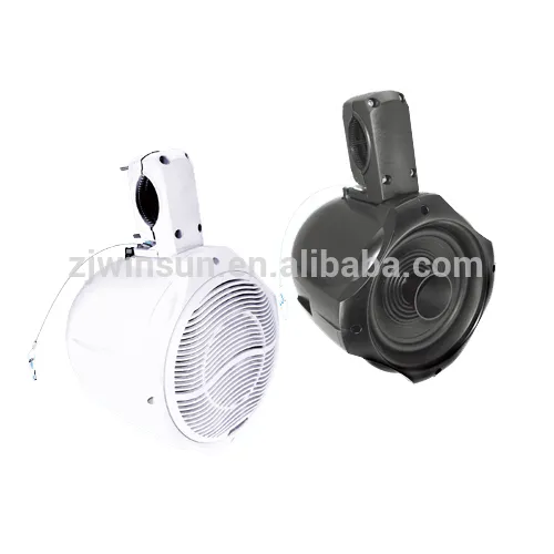 Wakeboard Tower Speaker System