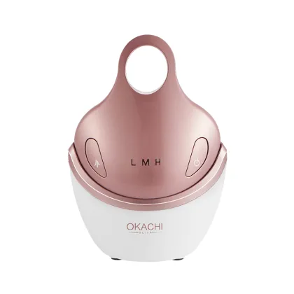 Face Home Use Beauty Skincare Physical Therapy Equipment