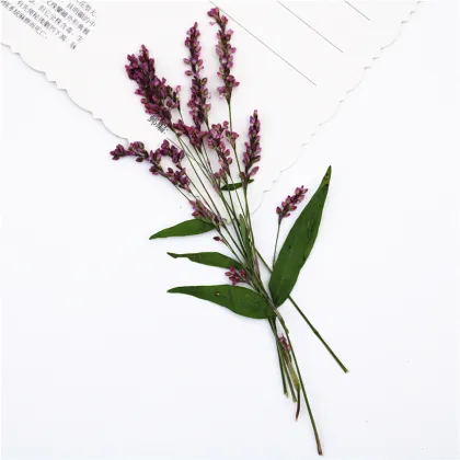 Rose Lily Safflower DIY Flower Art Pack