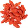 Göz Sağlığı İçin Kurutulmuş Goji Berry