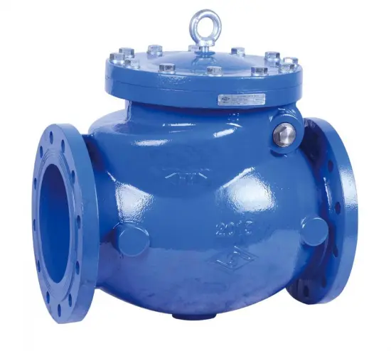 BS EN 12334 Swing Check Valve