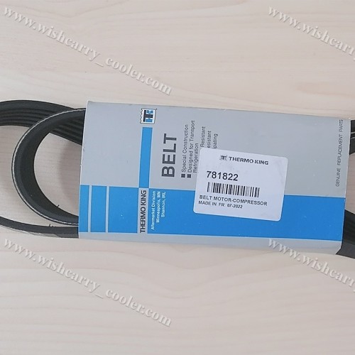 781822 Thermo King Original - Motor/eixo de macaco para compressor (2/13 e depois), T680P/880P/T600M/600R/800M/800R