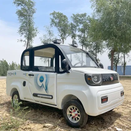 60V 2500W Electric Pickup Trucks