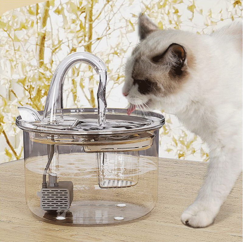 ফিল্টার সহ পরিবেশ বান্ধব পোষা জল সরবরাহকারী