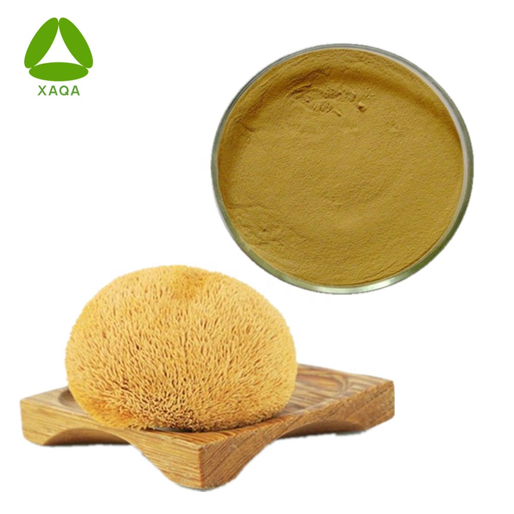 Lion's Mane Mushroom Extract 10%-50% Polysaccharide Powder