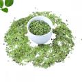 Chip Peridot Beads for Home Decoration & Decor Making Jewelry 100Gram Crushed Irregular Tumbled Stone Pieces Beads No hole