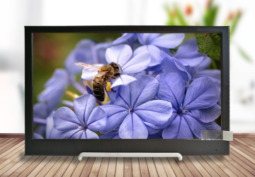 12,5 inch HDMI-beeldscherm