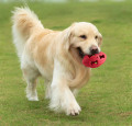 Hollow Rubber Interactive Dog Ball Ball Rugby