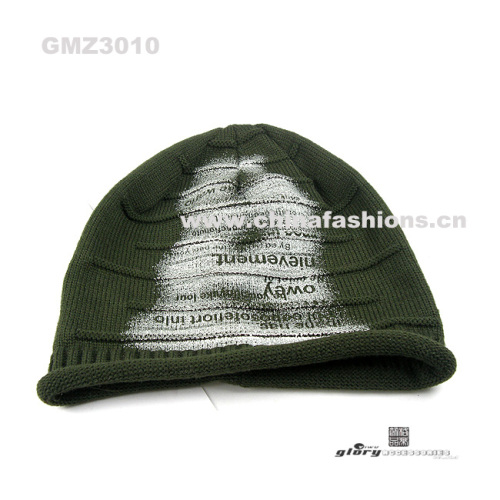 Hat / Knitted hat: with high fashion style and competitive price