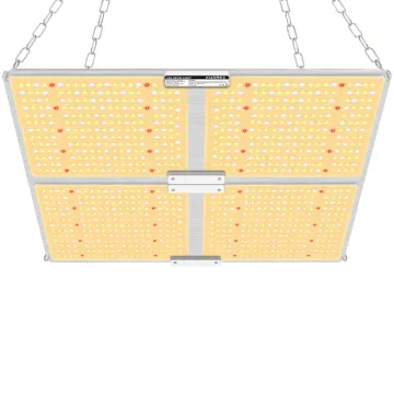 Highest Yielding LED Grow Light 2020