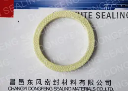 Spiral Wound Gasket with inner and outer ring