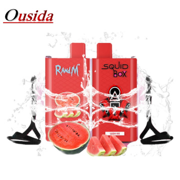 RandM Squid Box 5200 Puffs Disposable Vape Wholesale