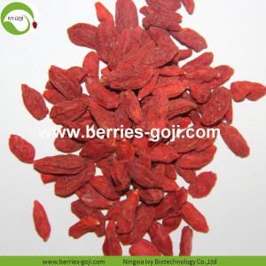 Factory Wholesale A Grade Fruit Wolfberry