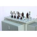 S13 Oil Type Transformers