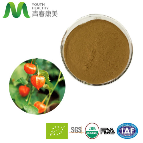 Extrato de raiz de ashwagandha orgânico 5%