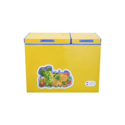 DC Solar Deep Fridge Refrigerator Freezer