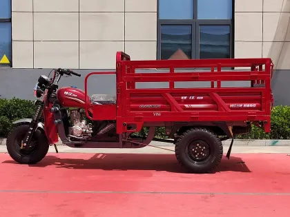 Advanced Three-Wheeled Electric Vehicle for Modern Use