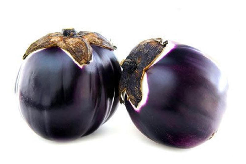 High Production Quality Eggplant