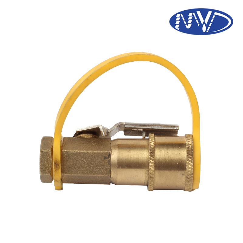 Quarter turn quick connector