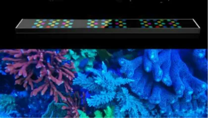 Acrylic LED Jellyfish Aquarium Lighting Fish Tank