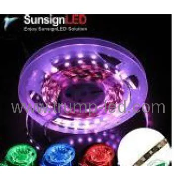 Holiday time led lights for christmas tree