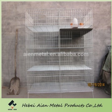 wire mesh chick cage for little chick