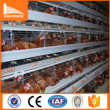 High quality poultry layers /quail equipment battery cages laying hens sell in algeria                        
                                                Quality Choice