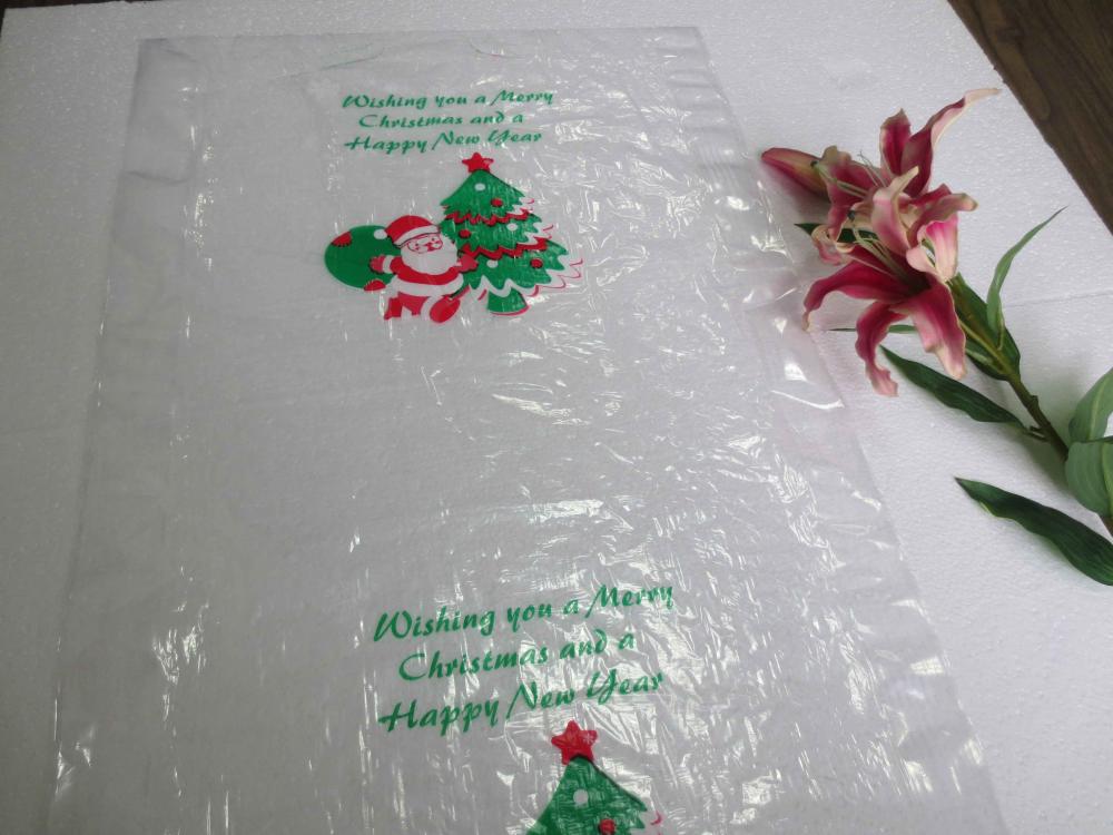 Clare Poly Bag