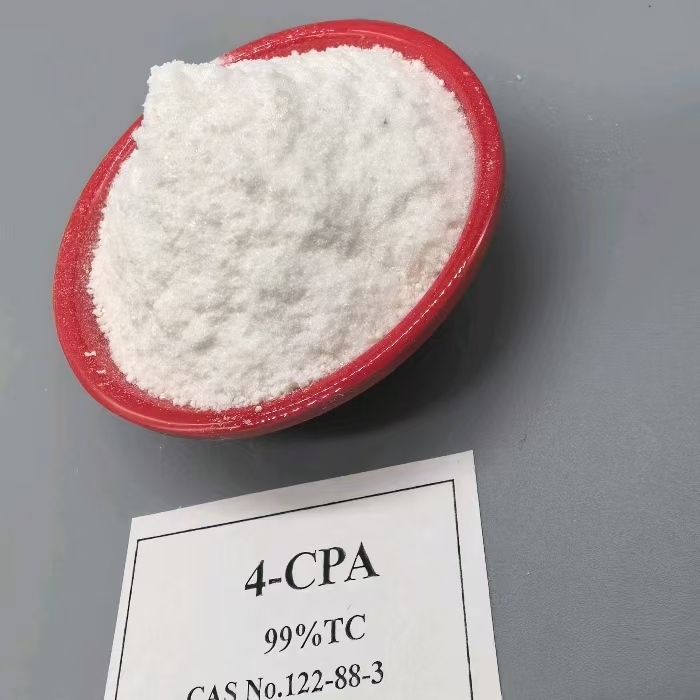 Auxin plant growth regulator 4-CPA (73)