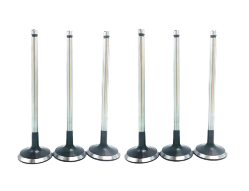 Replacement Engine Intake Valve for Car