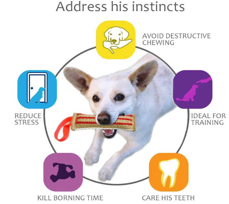 Interactive Dog Chew Toy